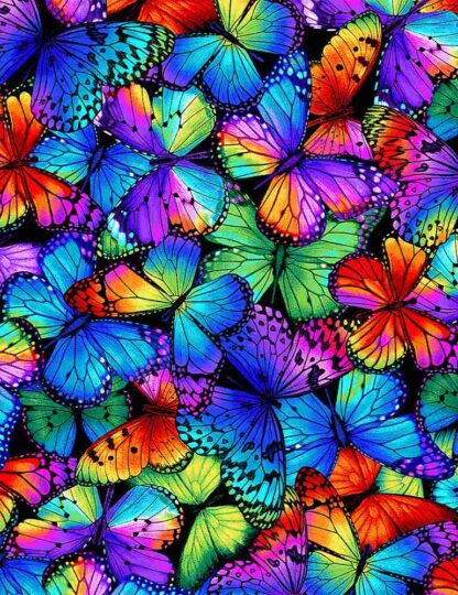 Timeless Treasures - Butterfly Magic - Bright Butterflies